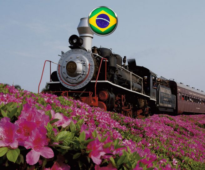 O melhor da Serra Gaúcha é com a Jô Viagens